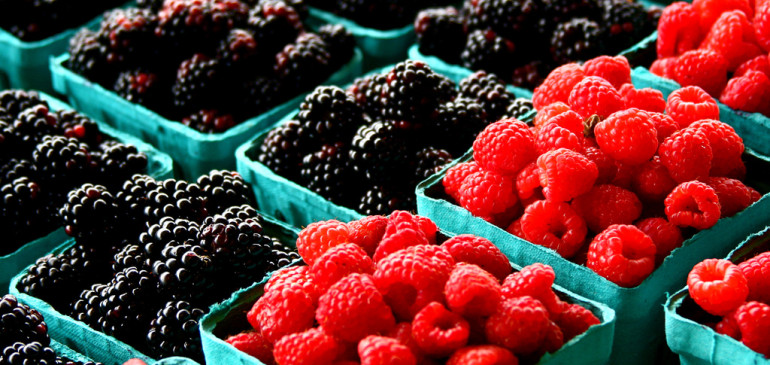 The Benefits of Berries to the Brain