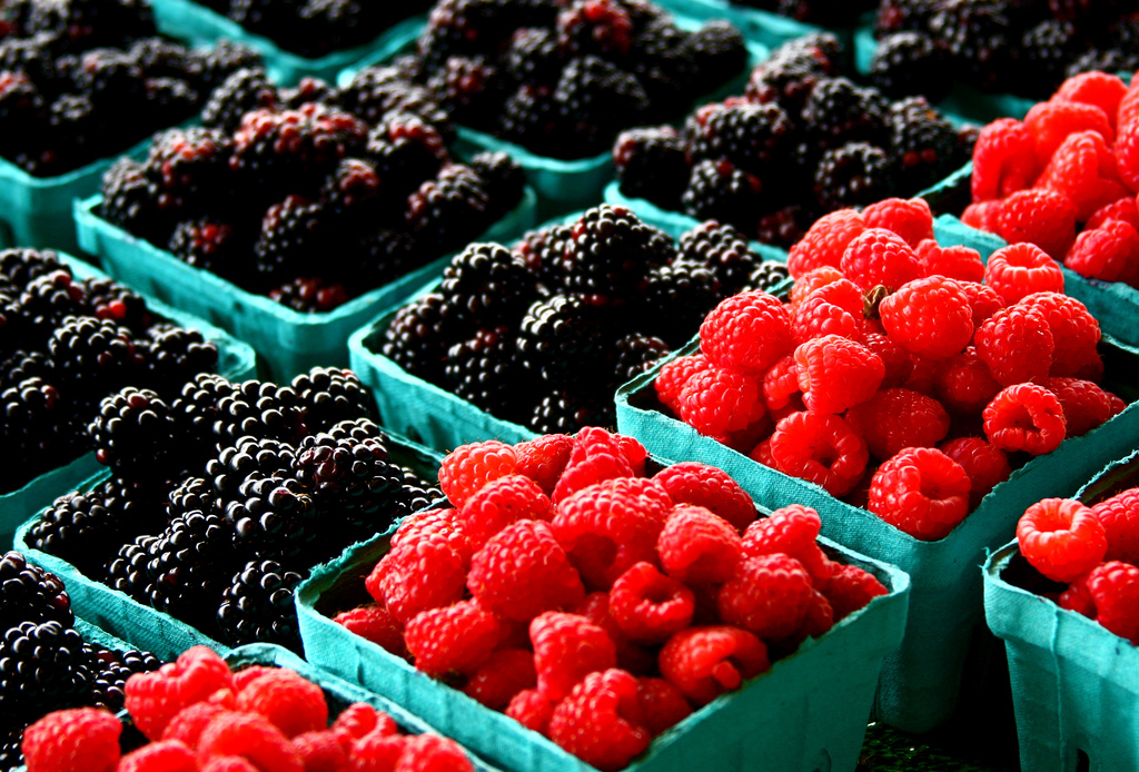 The Benefits of Berries to the Brain – Gorge & Serve